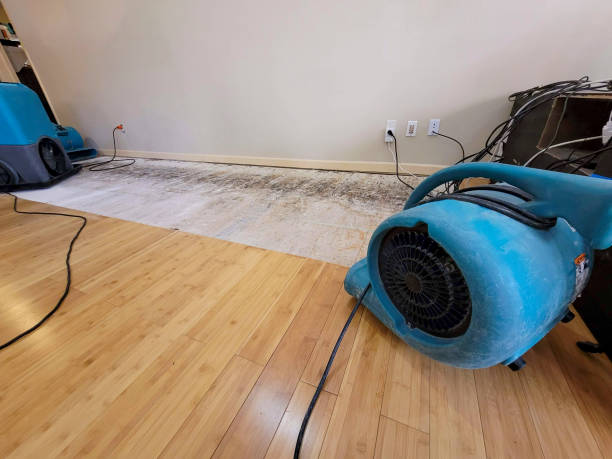 Reliable Basement Flood Cleanup contractor in Hudson, IL by Hirex Water Damage