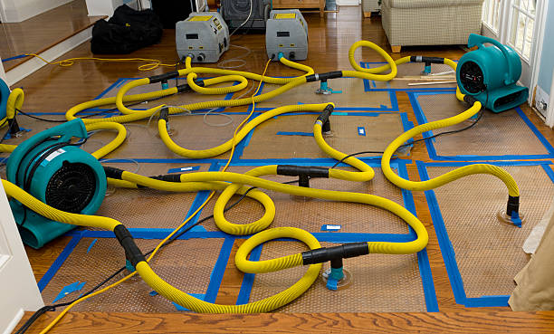 Professional Basement Flood Cleanup technician working in Hudson, IL